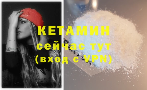 стаф Нея