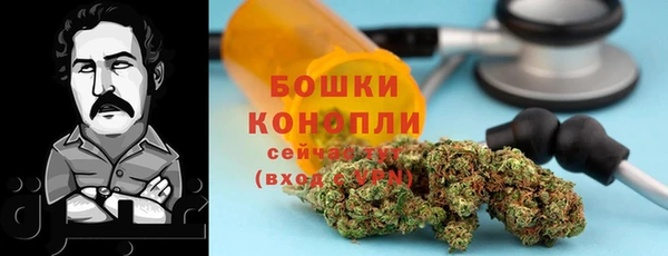 крисы Балахна