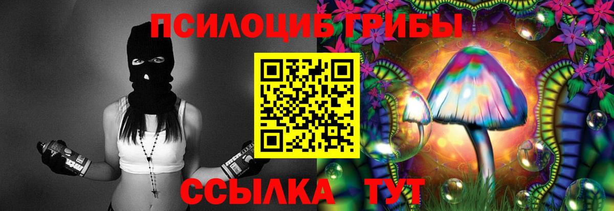 Галлюциногенные грибы MAGIC MUSHROOMS  закладки  Вход с VPN  Ульяновск  Псилоцибиновые грибы GOLDEN TEACHER 
